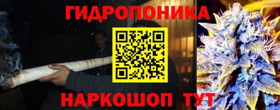 гидропоника Ипатово